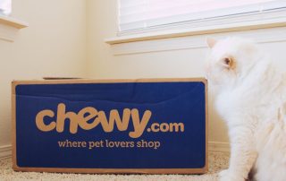 Is it Time to Buy Chewy After the Company Delivers on Q1 Earnings? 3 Things for Investors to Consider